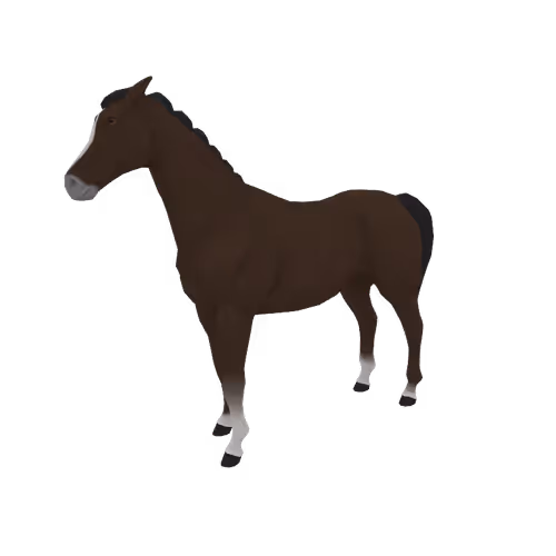 Zkrace Horses