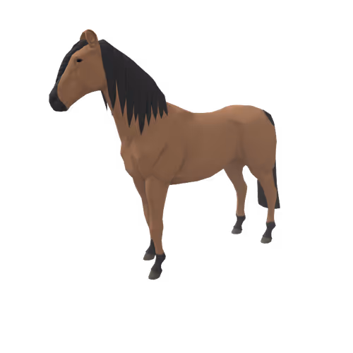 Zkrace Horses