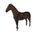 4797