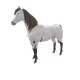 Daa