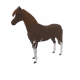 1447
