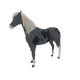5255