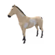 6947