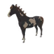 2561