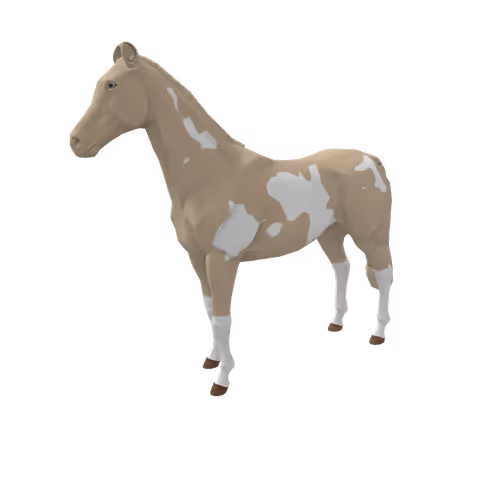 Zkrace Horses
