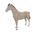 4584
