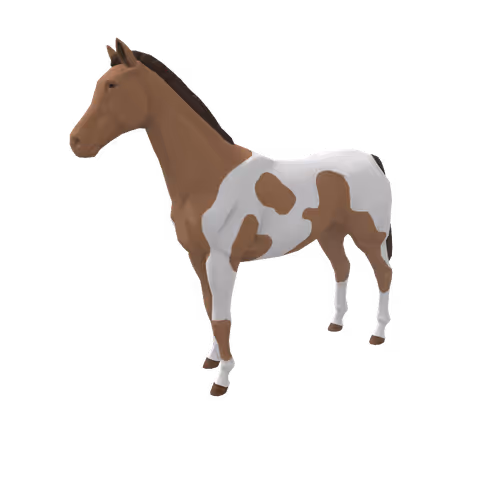 Zkrace Horses