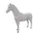 14566