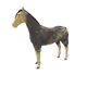 9647