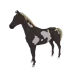 5278
