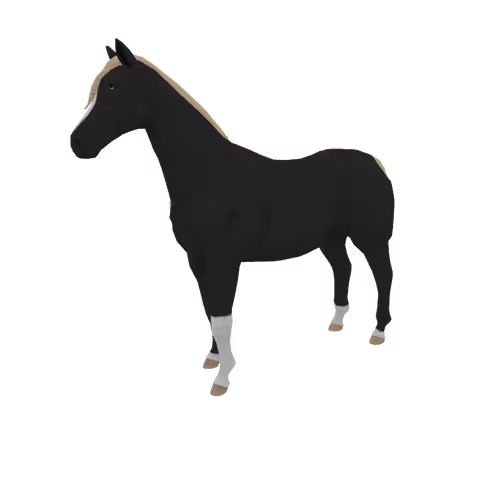 Zkrace Horses