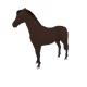 5046