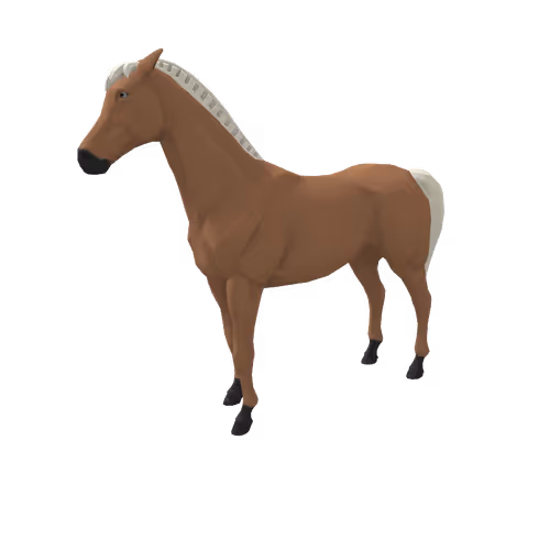 Zkrace Horses