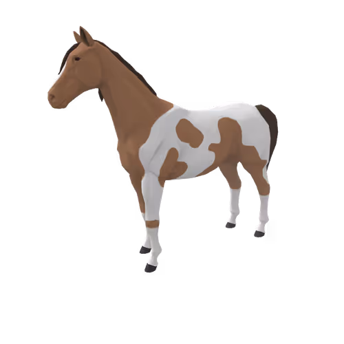 Zkrace Horses