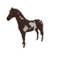 5549