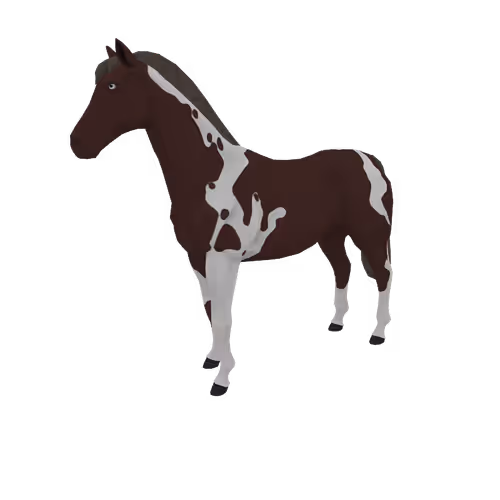 Zkrace Horses