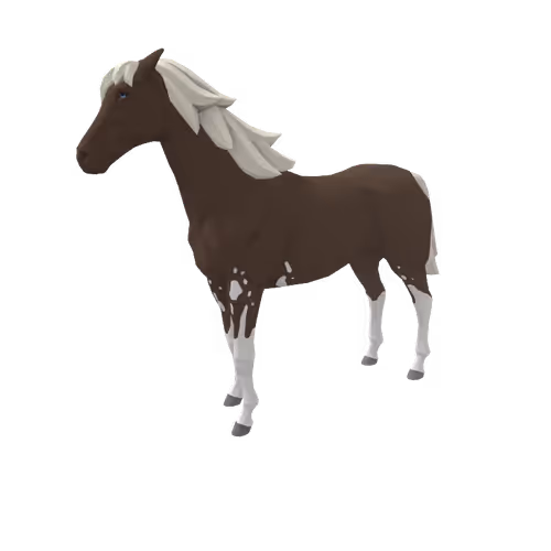 Zkrace Horses