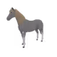 5543
