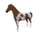 9797