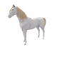 2583