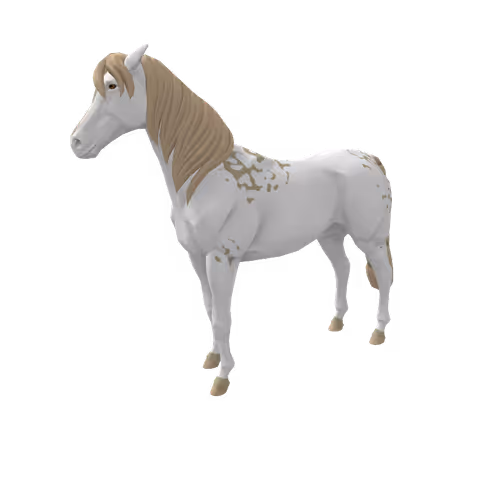 Zkrace Horses