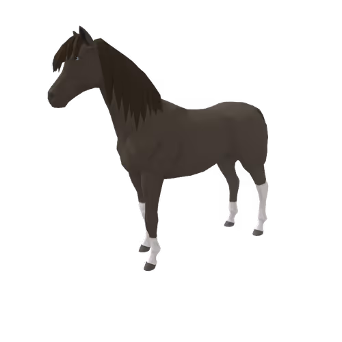 Zkrace Horses