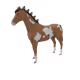 8238