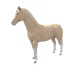 14062