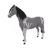 4833