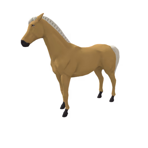 Zkrace Horses