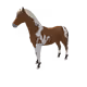 6447