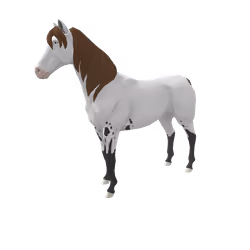 Seabiscuit