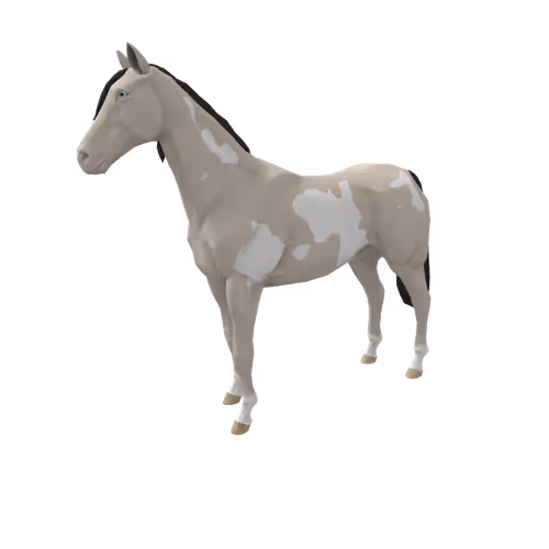 Zkrace Horses