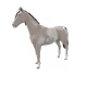 5951