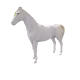 2888
