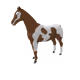 8426