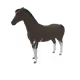 1484
