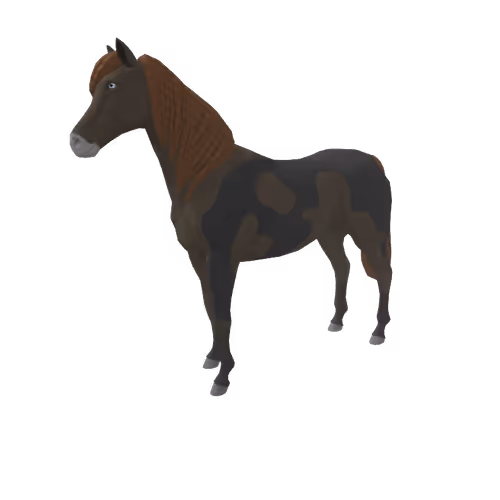 Zkrace Horses