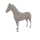 5036
