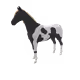 1669