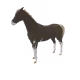 1573