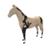 9148