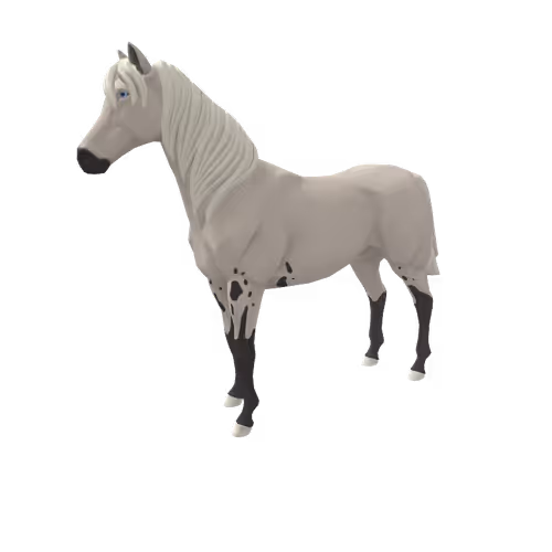 Zkrace Horses