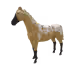 10407