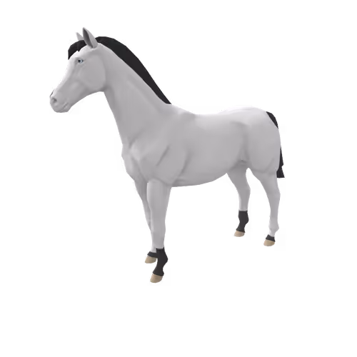 Zkrace Horses