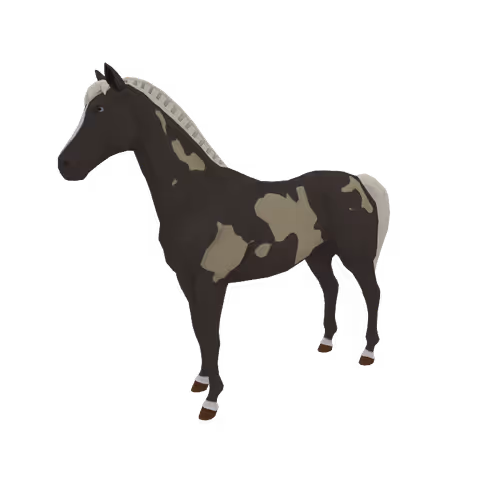 Zkrace Horses