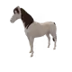 6963