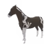 2647