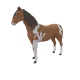 6911