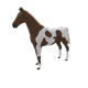 7177